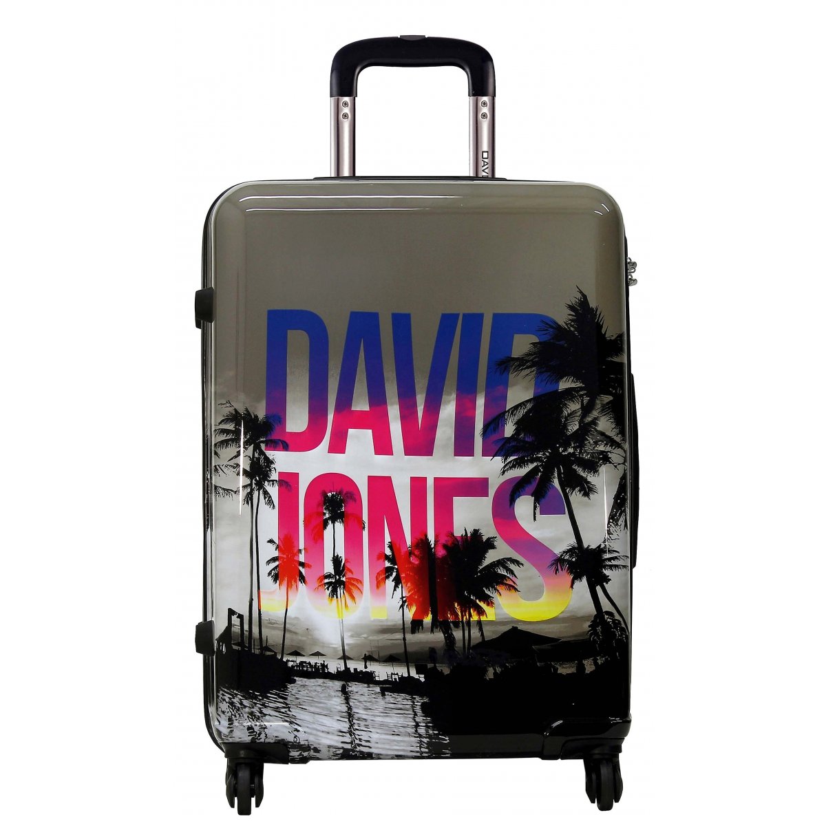 Roulette pour valise david jones artist