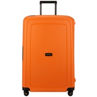 SCURE08-ORANGE - 1953 - abricot (orange)