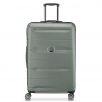 COMETE821 - 03 - iguane (vert)