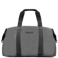 CAM0185 - Gris
