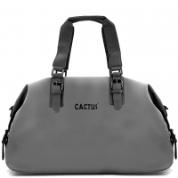 CAM0184 - Gris