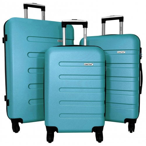 Lot 3 valises dont 1 valise cabine rigides Cactus ABS
