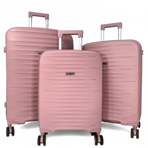 Lot de 3 valises rigides dont une valise cabine Cactus TSA PETE