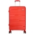 BA80031M - Corail