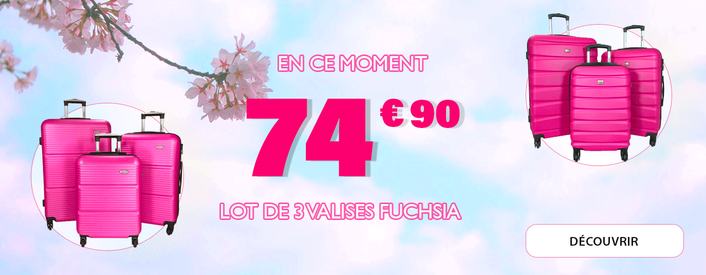 LOT VALISE