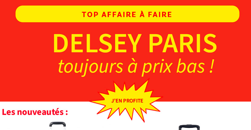  Bleu Cerise Bagagerie Delsey à prix bas 