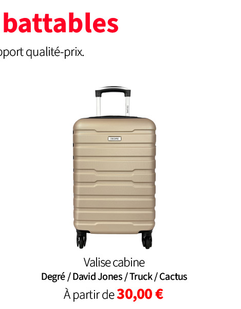  Bon Plan Bleu Cerise Valise Truck Promotion 