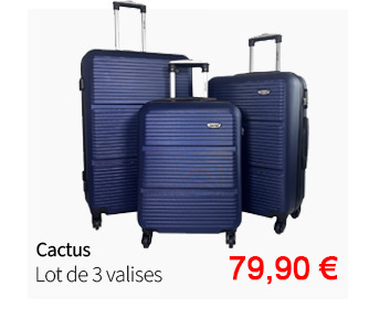  Bleu Cerise Lot de 3 valises Cactus en Soldes 