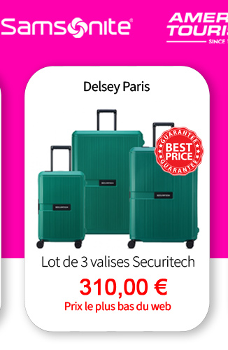  Bleu Cerise Bagagerie Delsey Securitech Stone à prix bas 