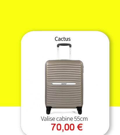 Bleu Cerise Bagagerie Cactus Valise Cabine 