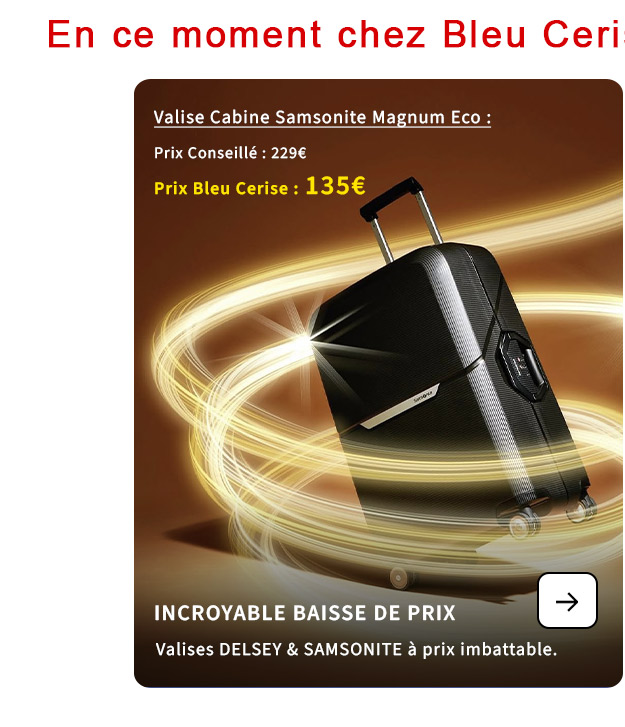  Bleu Cerise Baisse de Prix Incroyable Bagagerie Samsonite et Delsey 