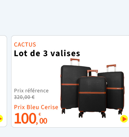  Bleu Cerise Bagagerie Lot de 3 valises Cactus Promotion 