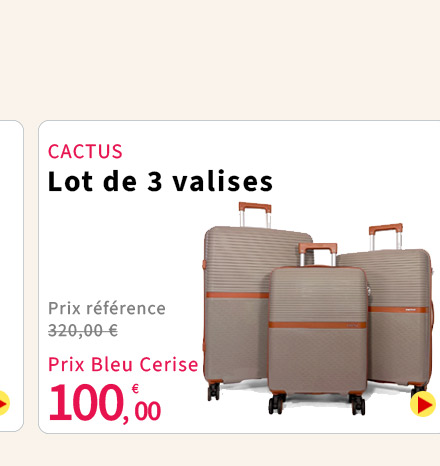  Bleu Cerise Bagagerie Lot de 3 valises Cactus Promotion 