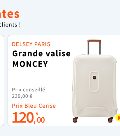 Bleu Cerise Bagagerie Delsey Paris MONCEY Prix Bas
