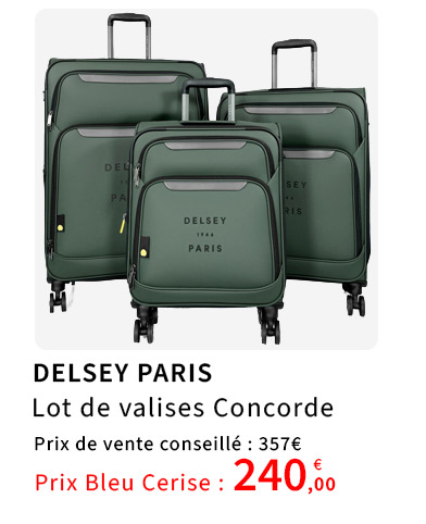 Bleu Cerise Bagagerie Delsey Souple Concorde Prix Bas