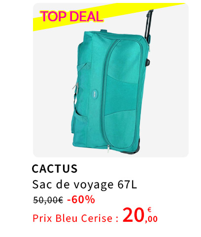  Sac de Voyage Cactus en promotion 