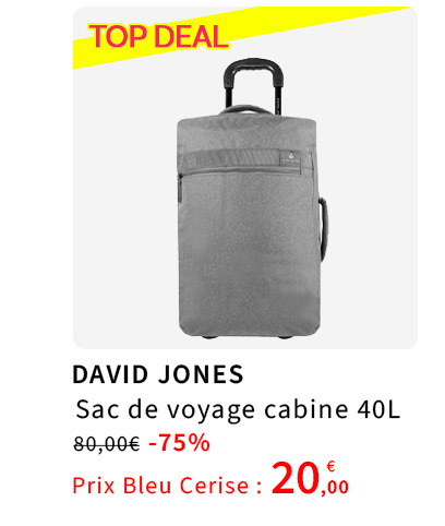  Sac de Voyage Cabine en promotion 