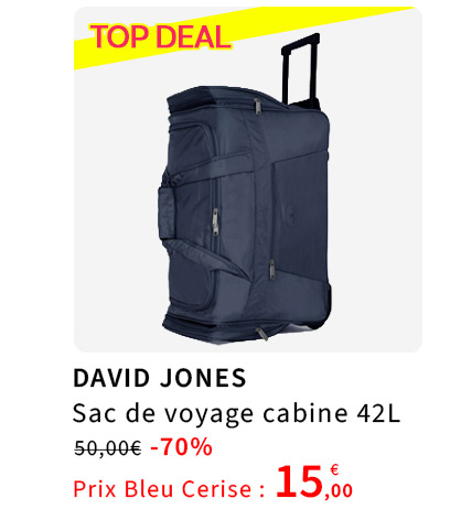  Sac de Voyage Cabine en promotion 