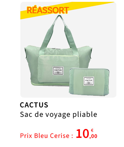  Sac de Voyage Pliable Pas Cher 