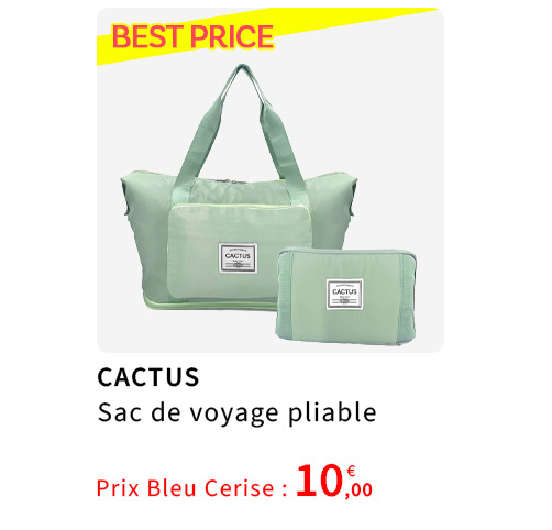  Bleu Cerise Sac de Voyage Pliable 10€ 