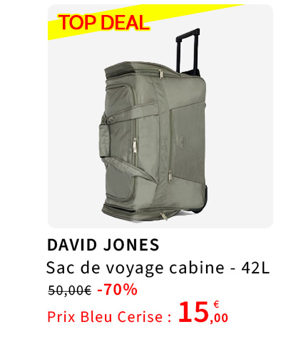  Sac de Voyage David Jones en promotion 