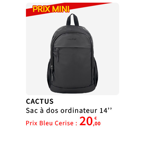  Bleu Cerise Sac a dos porte ordinateur