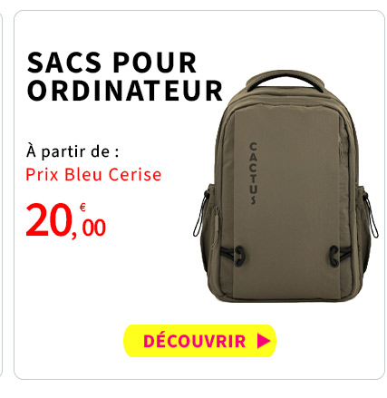 Bleu Cerise Business Sacs Ordinateur Petit Prix